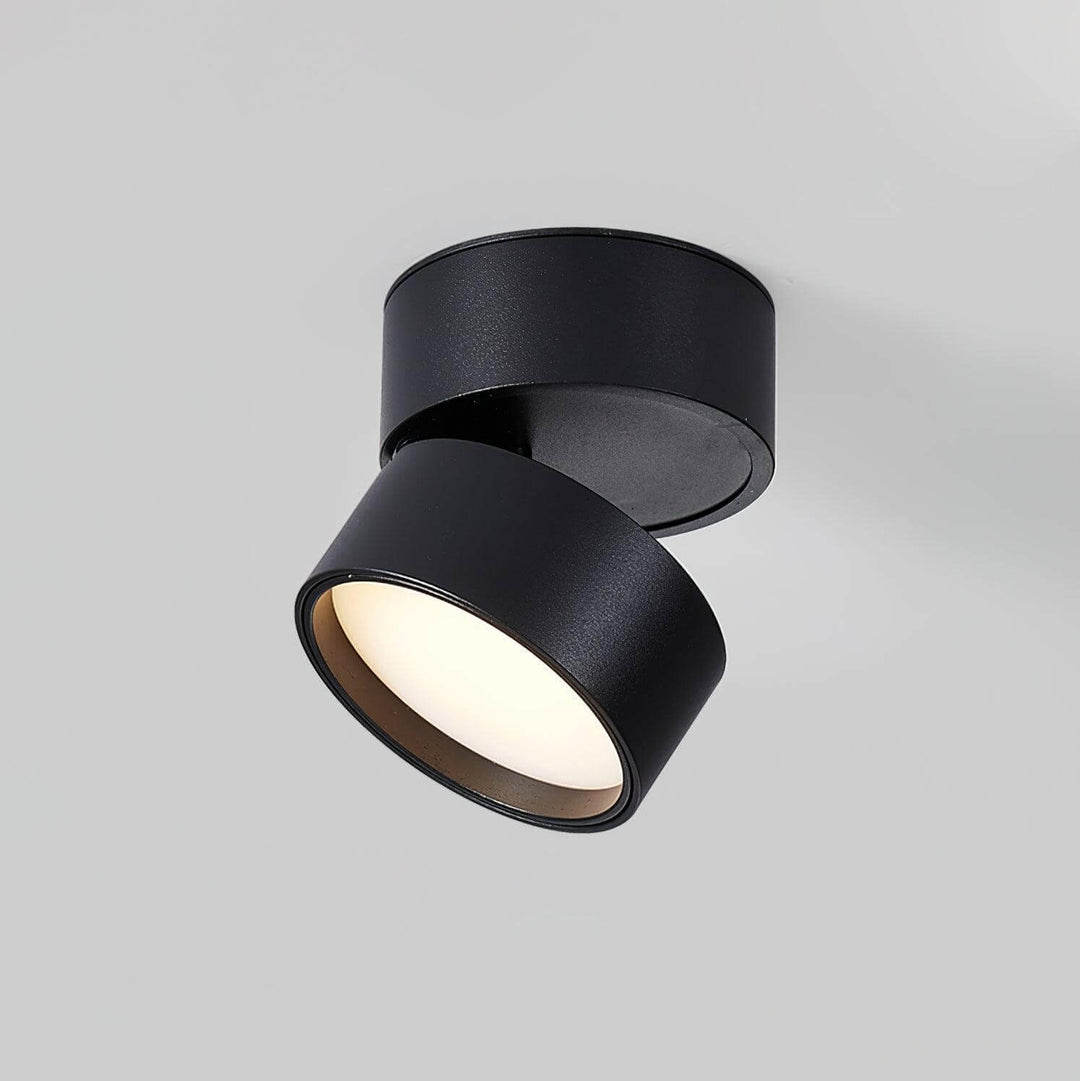 Plafonnier Lumineux Réglable - Éclairage Intérieur Moderne