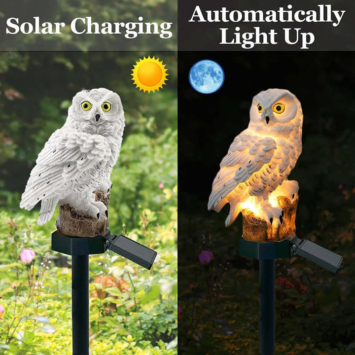 Lot de 2 Lampes Solaires Hibou Extérieur - Décoration Jardin