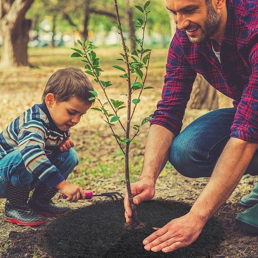 "Anneaux de paillis écologiques pour arbres, protection jardin, installation facile, matériaux durables et respectueux."