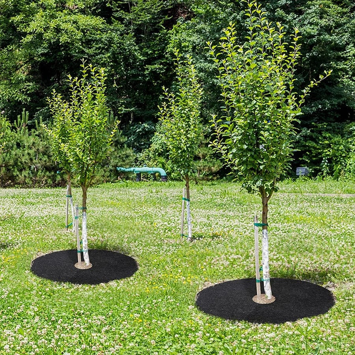 "Anneaux de paillis écologiques pour arbres, protection jardin, installation facile, matériaux durables et respectueux."