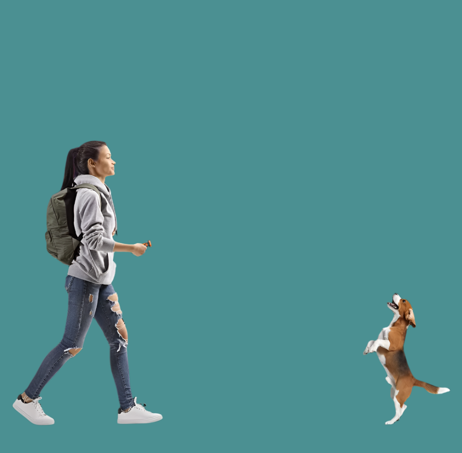 "Appareil de dressage canin à ultrasons, léger, avec lumière LED pour correction douce des comportements indésirables."