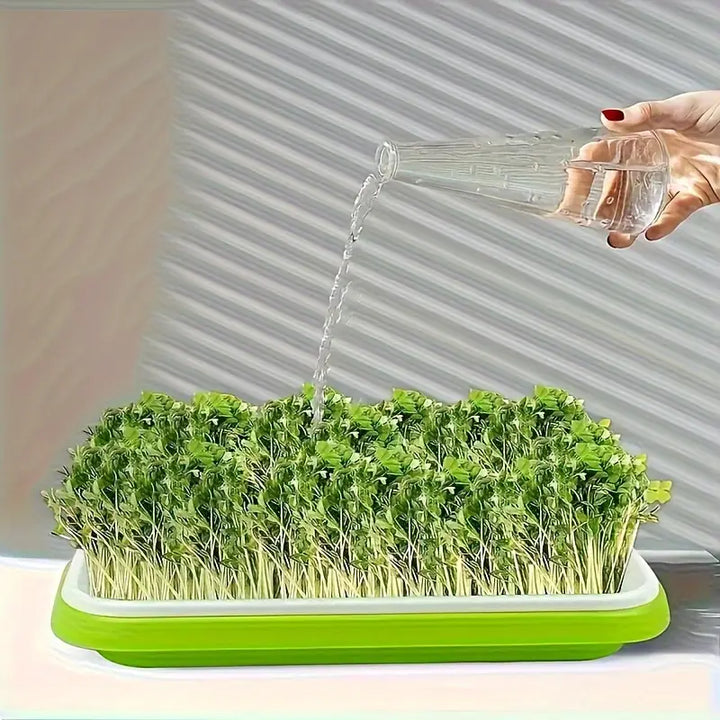 "Boîte germination avec couvercle transparente, double couche pour répartition chaleur et humidité, jardinage DIY."