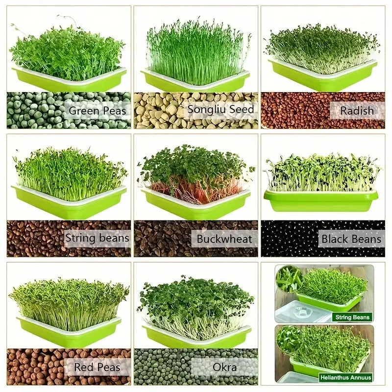 "Boîte germination avec couvercle transparente, double couche pour répartition chaleur et humidité, jardinage DIY."