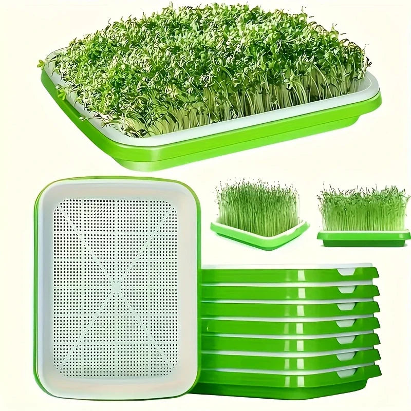 "Boîte germination avec couvercle transparente, double couche pour répartition chaleur et humidité, jardinage DIY."
