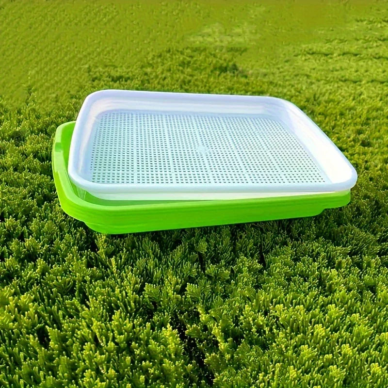"Boîte germination avec couvercle transparente, double couche pour répartition chaleur et humidité, jardinage DIY."
