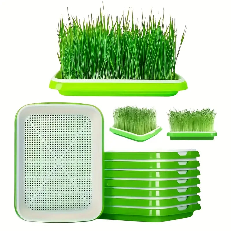 "Boîte germination avec couvercle transparente, double couche pour répartition chaleur et humidité, jardinage DIY."