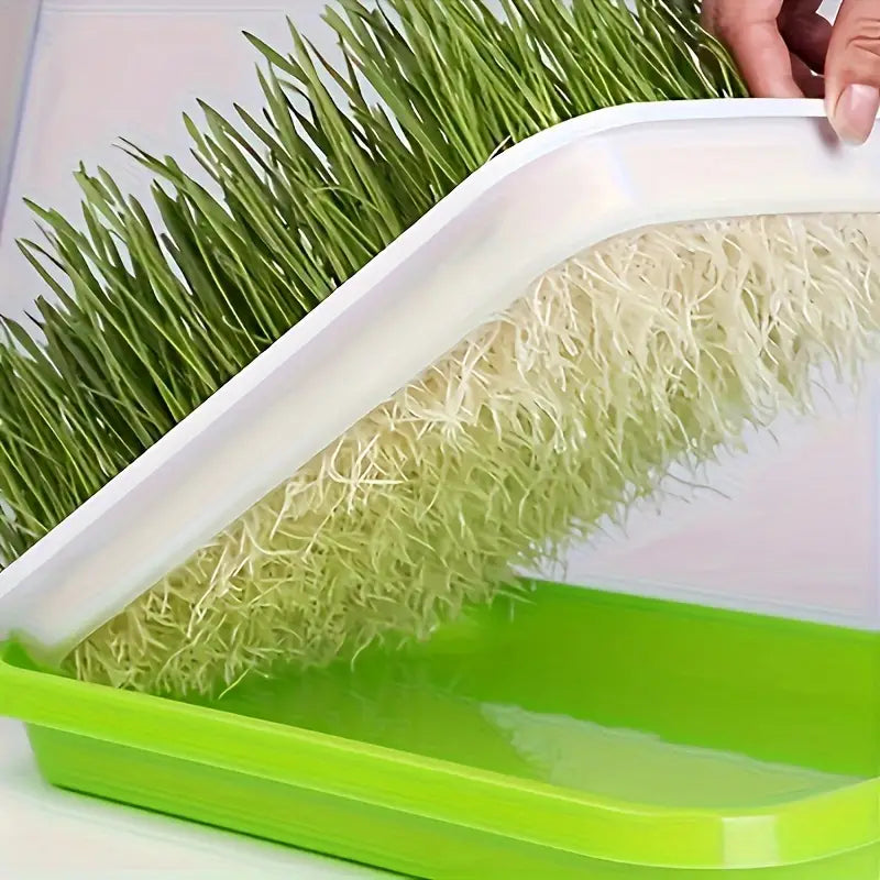 "Boîte germination avec couvercle transparente, double couche pour répartition chaleur et humidité, jardinage DIY."