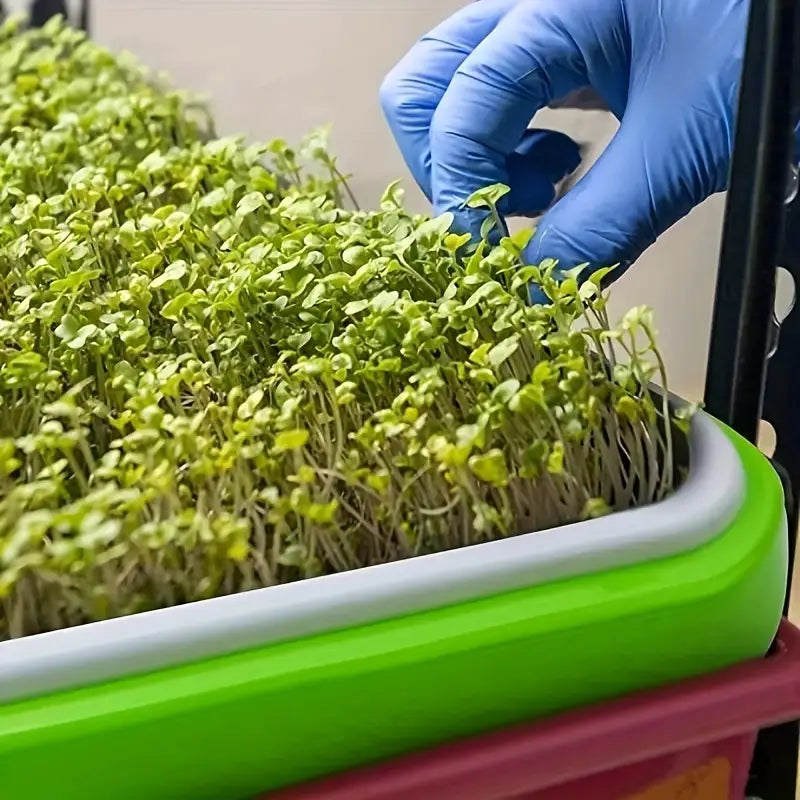 "Boîte germination avec couvercle transparente, double couche pour répartition chaleur et humidité, jardinage DIY."