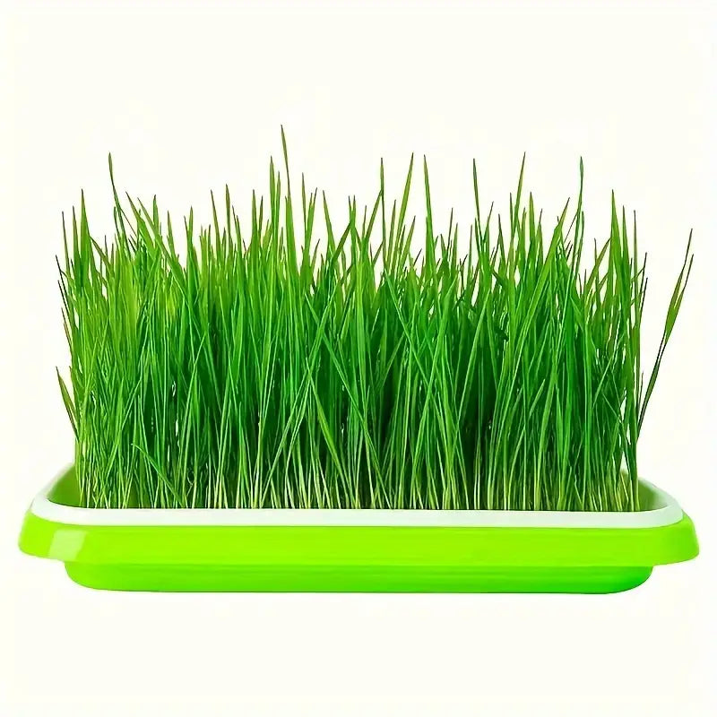 "Boîte germination avec couvercle transparente, double couche pour répartition chaleur et humidité, jardinage DIY."