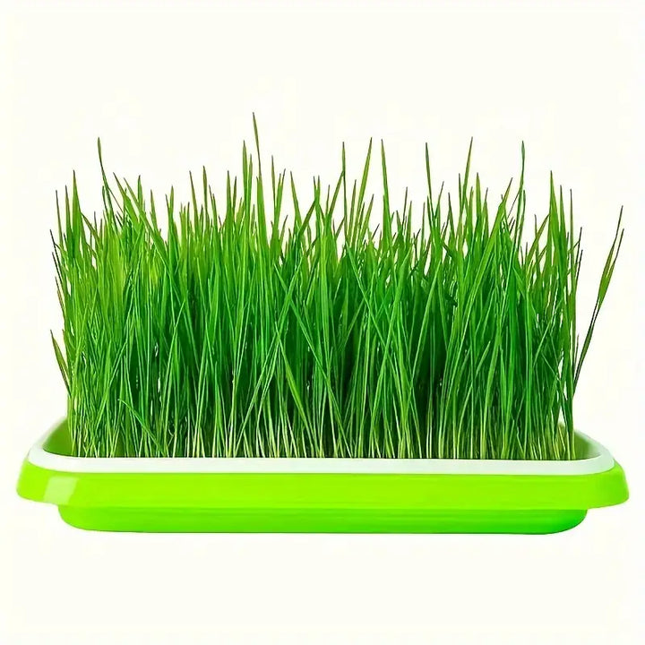 "Boîte germination avec couvercle transparente, double couche pour répartition chaleur et humidité, jardinage DIY."