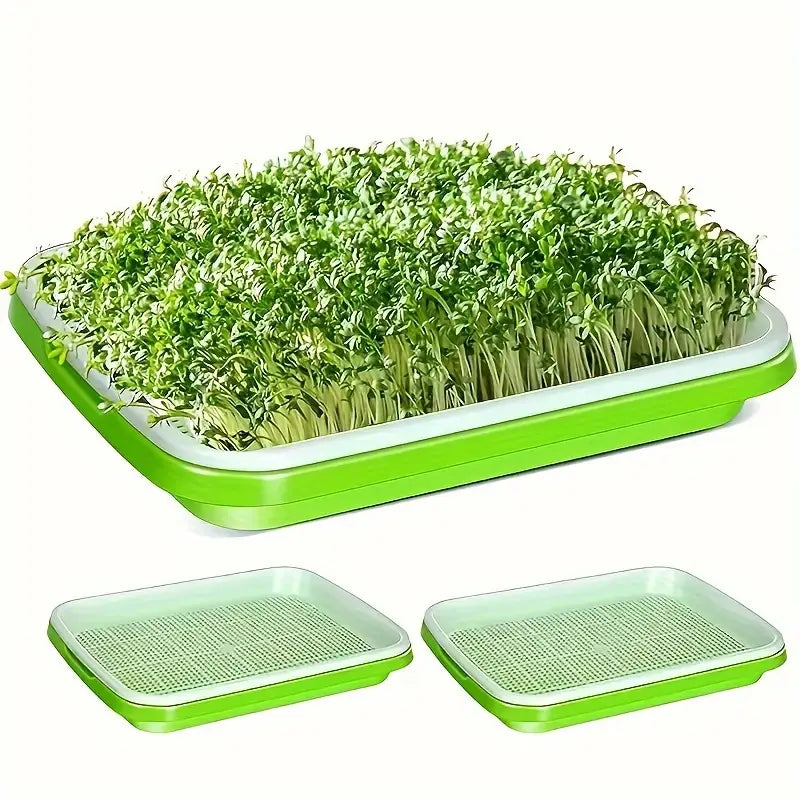 "Boîte germination avec couvercle transparente, double couche pour répartition chaleur et humidité, jardinage DIY."