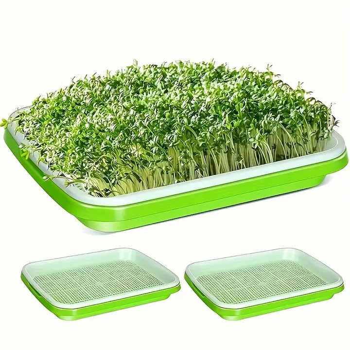"Boîte germination avec couvercle transparente, double couche pour répartition chaleur et humidité, jardinage DIY."