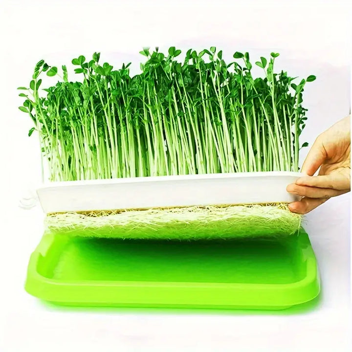 "Boîte germination avec couvercle transparente, double couche pour répartition chaleur et humidité, jardinage DIY."