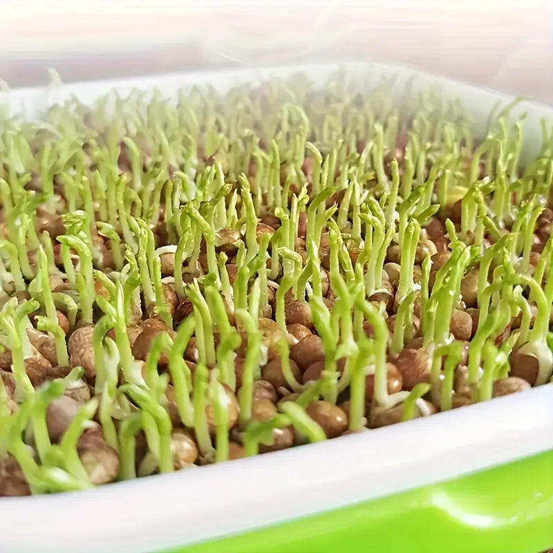 "Boîte germination avec couvercle transparente, double couche pour répartition chaleur et humidité, jardinage DIY."