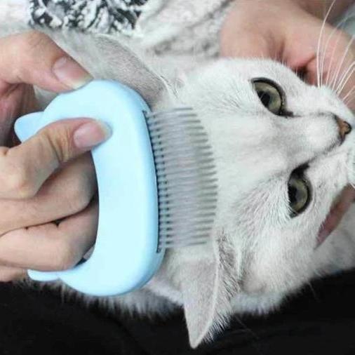 "Brosse de massage chat ergonomique, poils souples, élimination efficace des poils morts, poignée antidérapante"