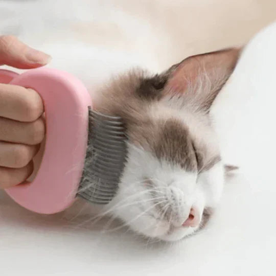 "Brosse de massage chat ergonomique, poils souples, élimination efficace des poils morts, poignée antidérapante"