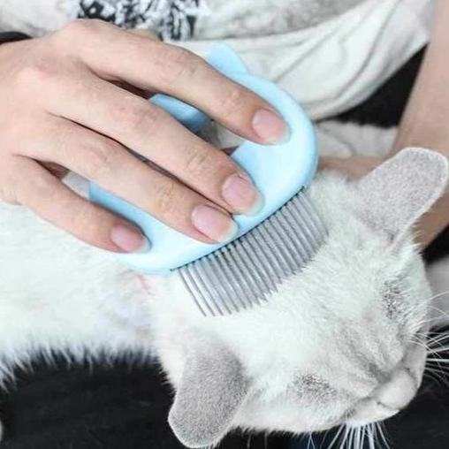 "Brosse de massage chat ergonomique, poils souples, élimination efficace des poils morts, poignée antidérapante"
