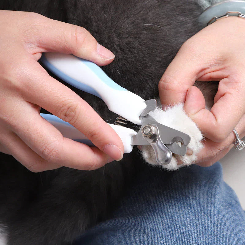 "Ciseaux à griffes sécurisés pour animaux, lame inox, poignée antidérapante, lime intégrée, soin sûr et ergonomique."