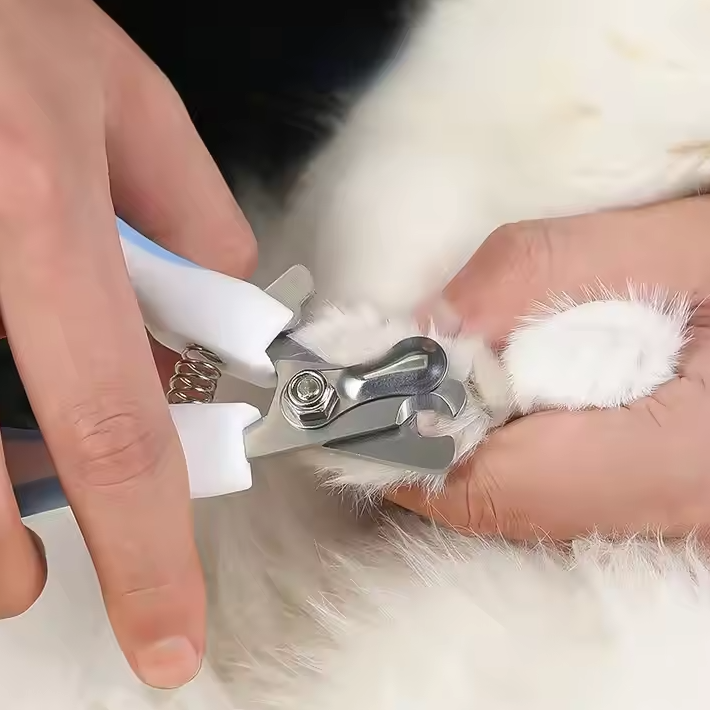 "Ciseaux à griffes sécurisés pour animaux, lame inox, poignée antidérapante, lime intégrée, soin sûr et ergonomique."