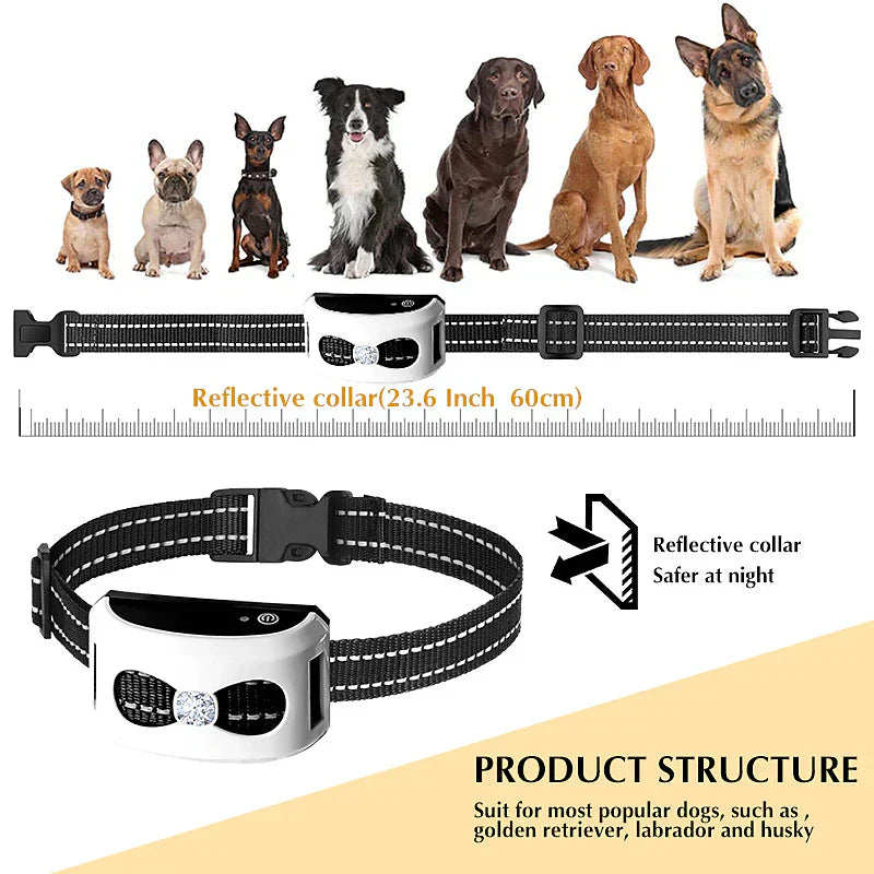 "Clôture sans fil 2-en-1, collier de dressage étanche, rechargeable, 300m de portée, pour chiens, sécurité optimale."