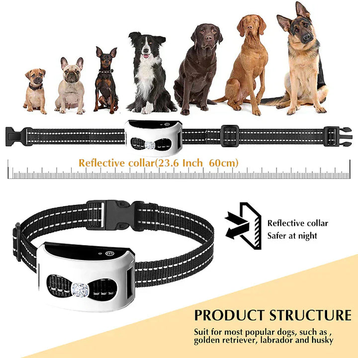 "Clôture sans fil 2-en-1, collier de dressage étanche, rechargeable, 300m de portée, pour chiens, sécurité optimale."