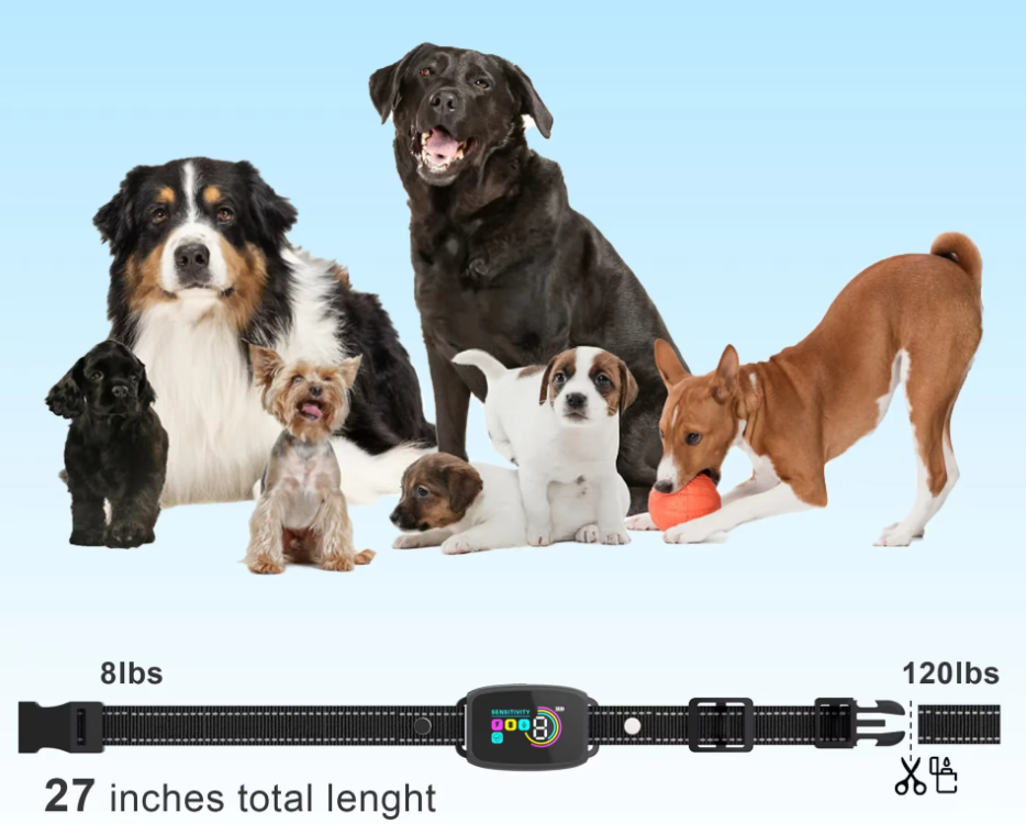 "Collier de dressage pour chien avec télécommande, design ergonomique, 8 niveaux de sensibilité, mode vibration et choc."