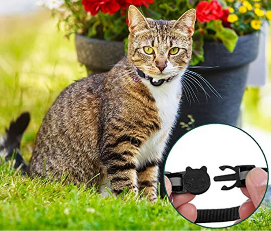"Collier GPS pour chats, nylon, réfléchissant, fermeture rapide, confortable, visibilité optimale nuit, aventures sécurisées.