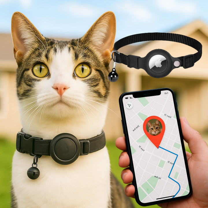 "Collier GPS pour chats, nylon, réfléchissant, fermeture rapide, confortable, visibilité optimale nuit, aventures sécurisées.