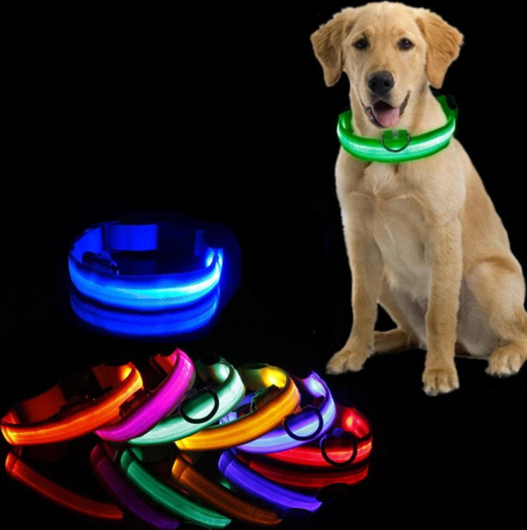 "Collier lumineux LED multicolore pour chien, ajustable et résistant, offrant sécurité et style lors de balades nocturnes."
