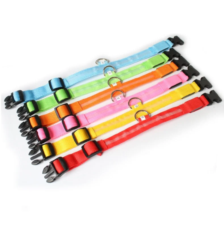 "Collier lumineux LED multicolore pour chien, ajustable et résistant, offrant sécurité et style lors de balades nocturnes."