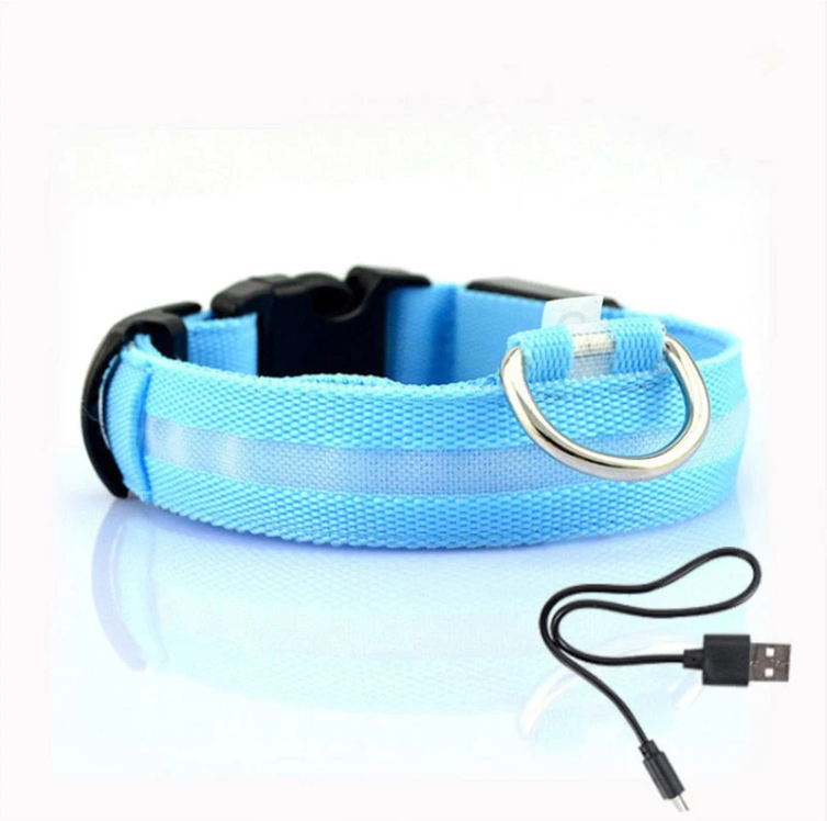 "Collier lumineux LED multicolore pour chien, ajustable et résistant, offrant sécurité et style lors de balades nocturnes."