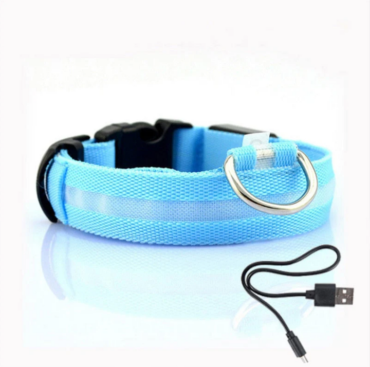 "Collier lumineux LED multicolore pour chien, ajustable et résistant, offrant sécurité et style lors de balades nocturnes."