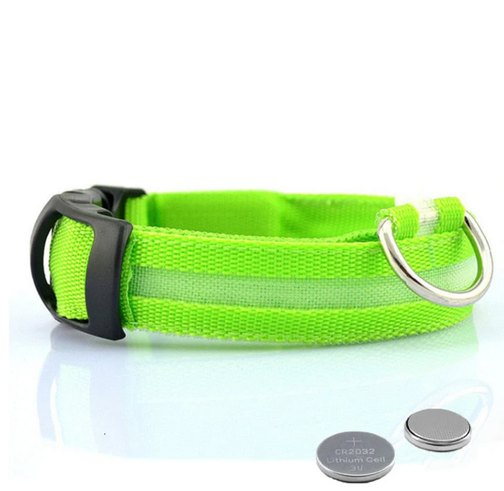 "Collier lumineux LED multicolore pour chien, ajustable et résistant, offrant sécurité et style lors de balades nocturnes."