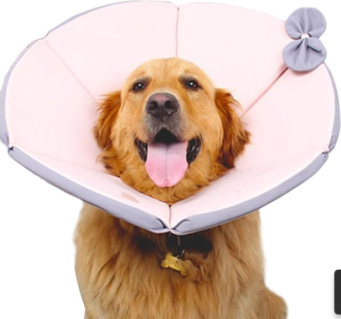 "Collier souple post-opératoire pour chien, jaune-marron, offrant confort et protection après chirurgie."