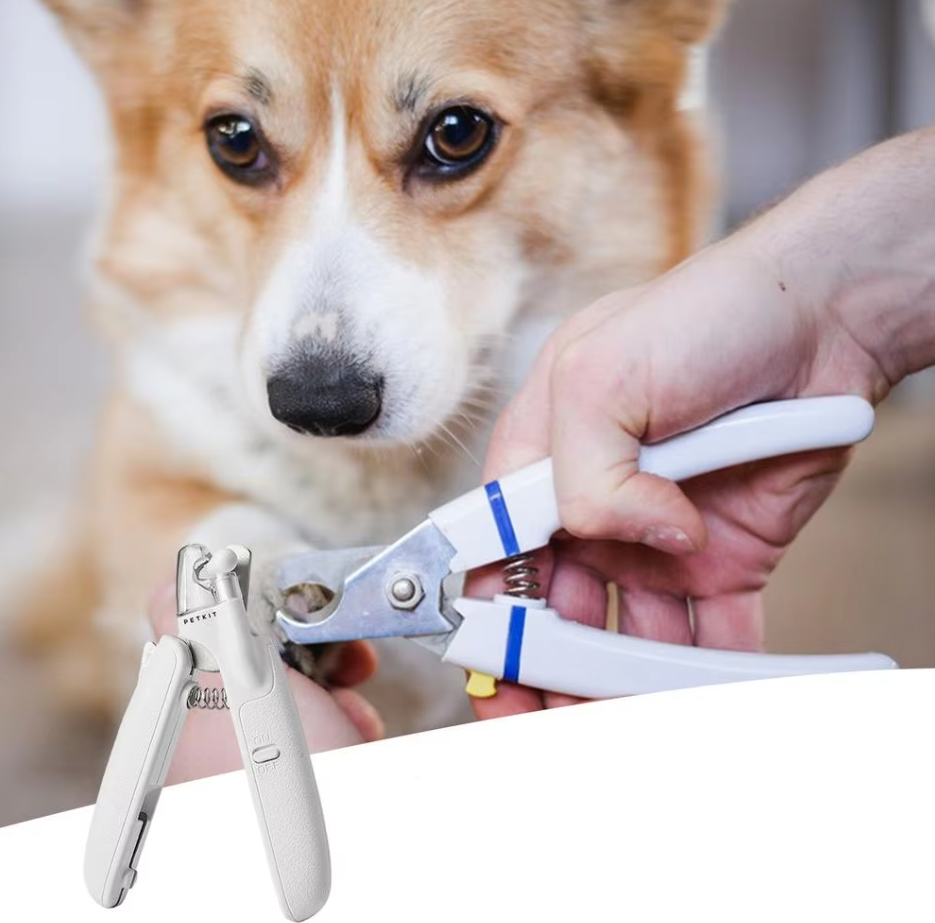 Coupe-griffes électronique pour animaux, design ergonomique, usage sûr et précis, idéal chiens et chats.