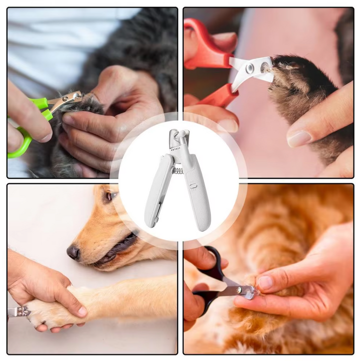 Coupe-griffes électronique pour animaux, design ergonomique, usage sûr et précis, idéal chiens et chats.