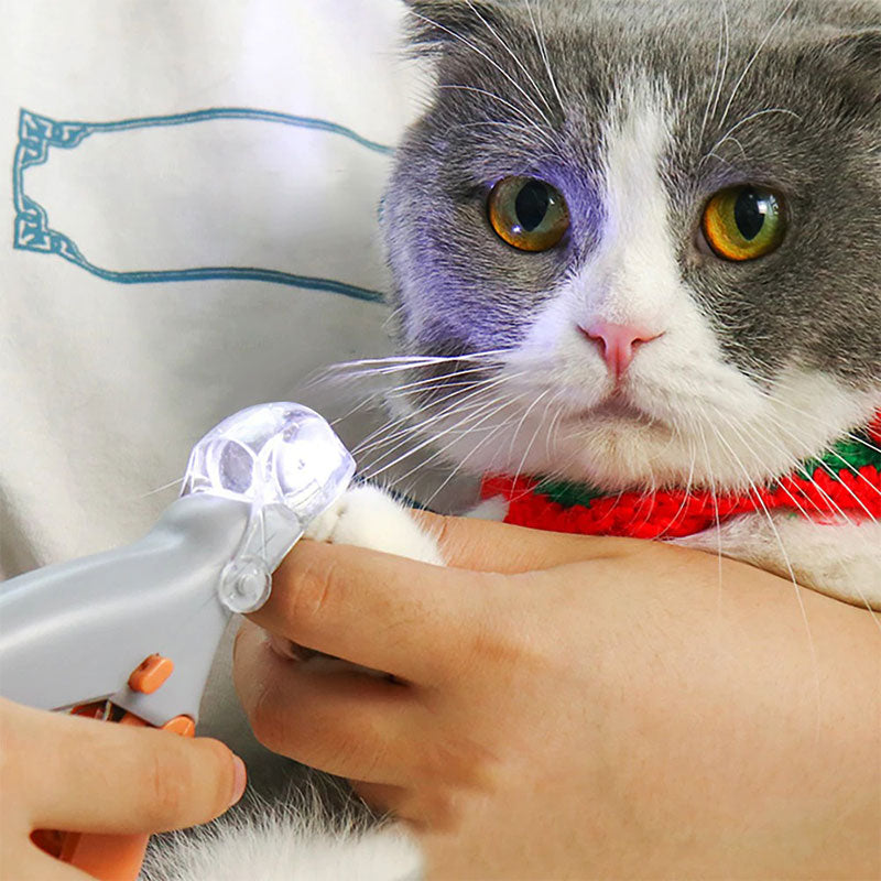 Coupe-ongles pour chiens ergonomique, capteurs rapides, lame en métal, sécurité incluse, soin ongles précis et sans douleur.