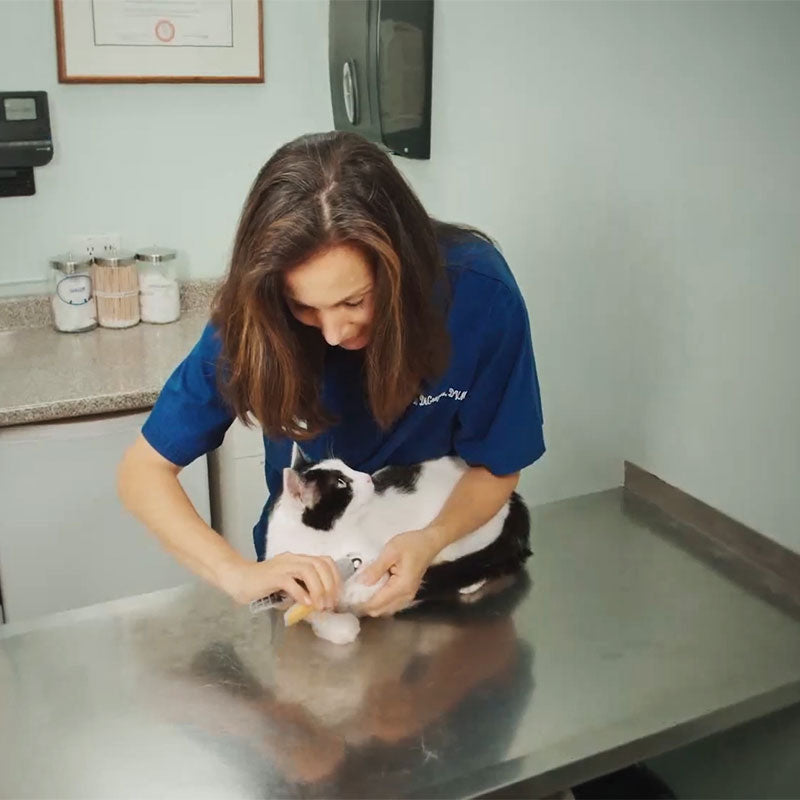 Coupe-ongles pour chiens ergonomique, capteurs rapides, lame en métal, sécurité incluse, soin ongles précis et sans douleur.
