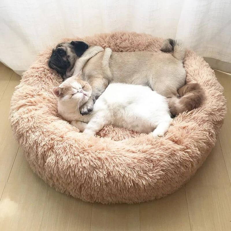 "Coussin anti-stress pour chat, moelleux et doux, couleurs variées, apaise l'anxiété et assure détente et confort."