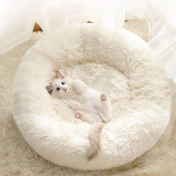 "Coussin anti-stress pour chat, moelleux et doux, couleurs variées, apaise l'anxiété et assure détente et confort."