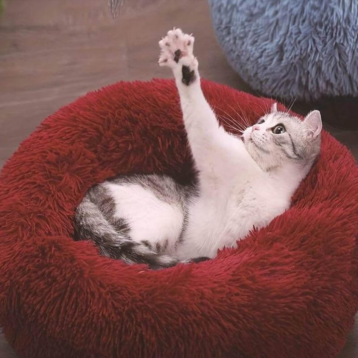 "Coussin anti-stress pour chat, moelleux et doux, couleurs variées, apaise l'anxiété et assure détente et confort."