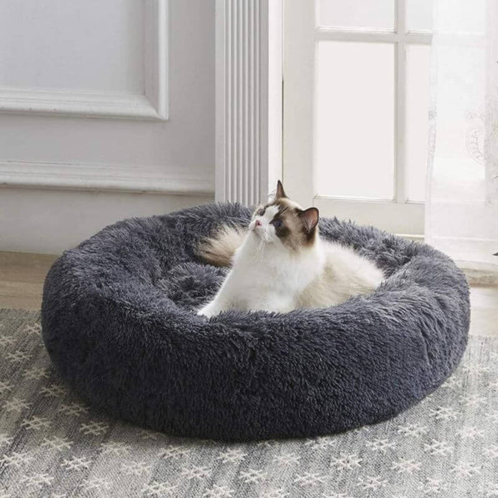 "Coussin anti-stress pour chat, moelleux et doux, couleurs variées, apaise l'anxiété et assure détente et confort."