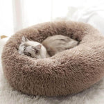 Taupe Marron