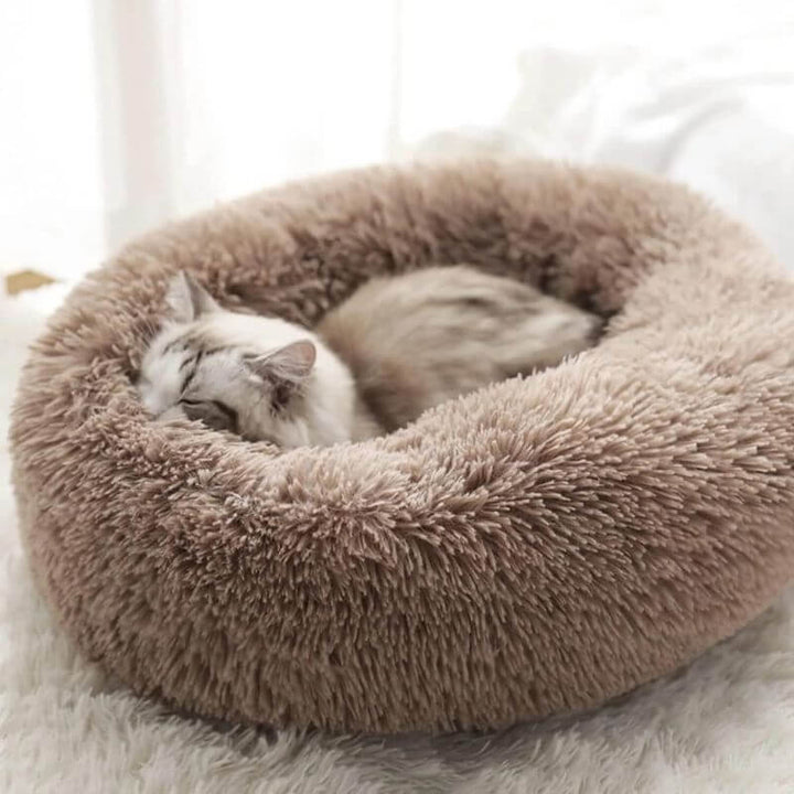 "Coussin anti-stress pour chat, moelleux et doux, couleurs variées, apaise l'anxiété et assure détente et confort."