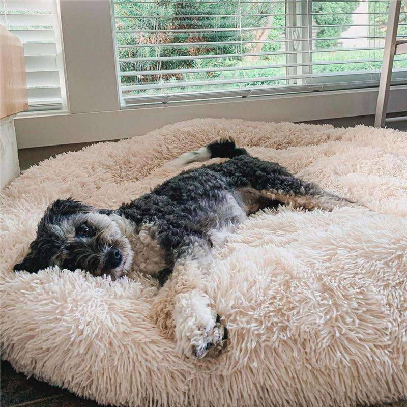 Coussin anti-stress pour chien, couleur abricot, design doux et enveloppant, idéal pour apaiser les chiens anxieux.