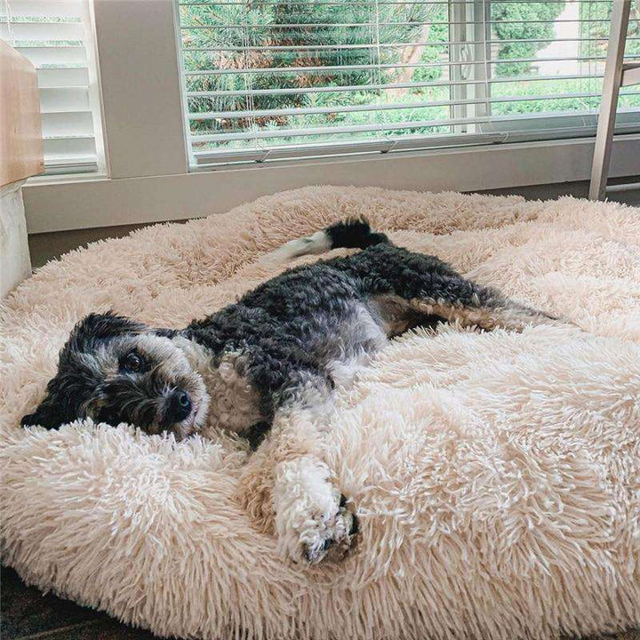 Coussin anti-stress pour chien, couleur abricot, design doux et enveloppant, idéal pour apaiser les chiens anxieux.