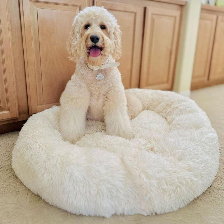 Coussin anti-stress pour chien, couleur abricot, design doux et enveloppant, idéal pour apaiser les chiens anxieux.