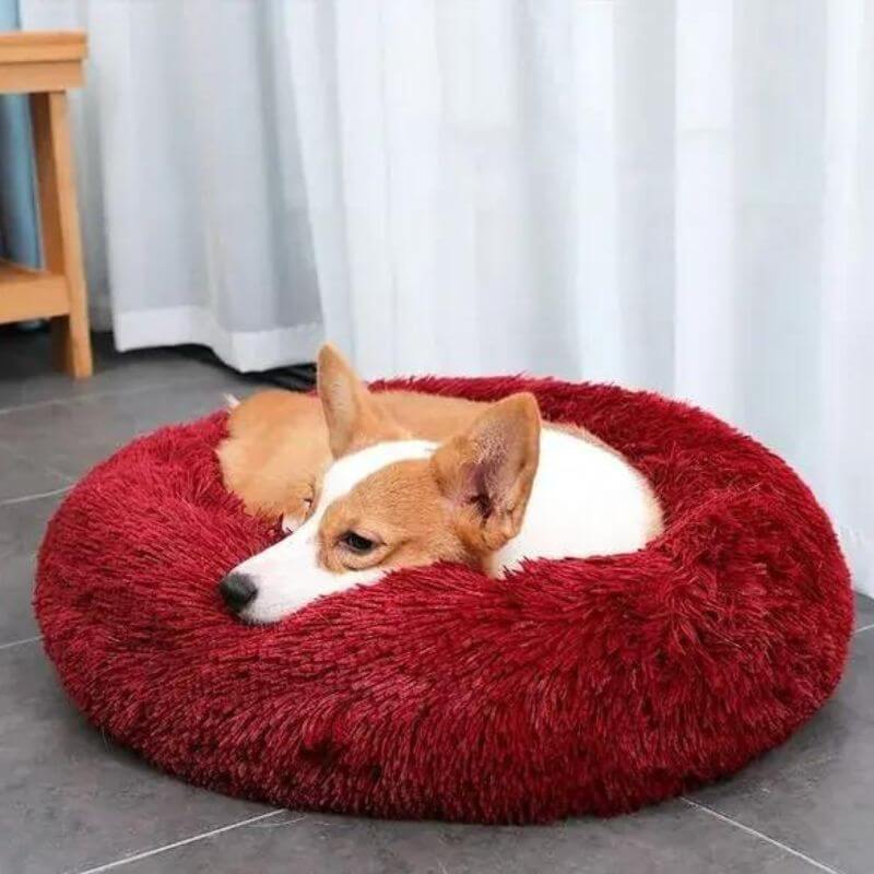 Coussin anti-stress pour chien, couleur abricot, design doux et enveloppant, idéal pour apaiser les chiens anxieux.