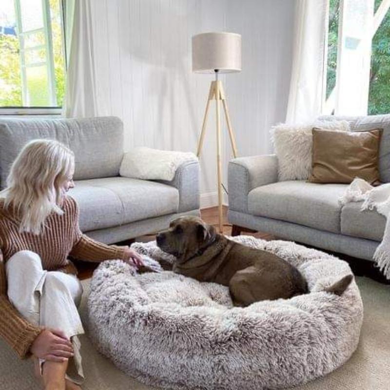 Coussin anti-stress pour chien, couleur abricot, design doux et enveloppant, idéal pour apaiser les chiens anxieux.