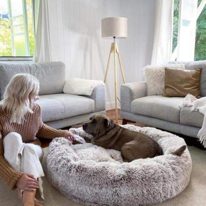 Coussin anti-stress pour chien, couleur abricot, design doux et enveloppant, idéal pour apaiser les chiens anxieux.